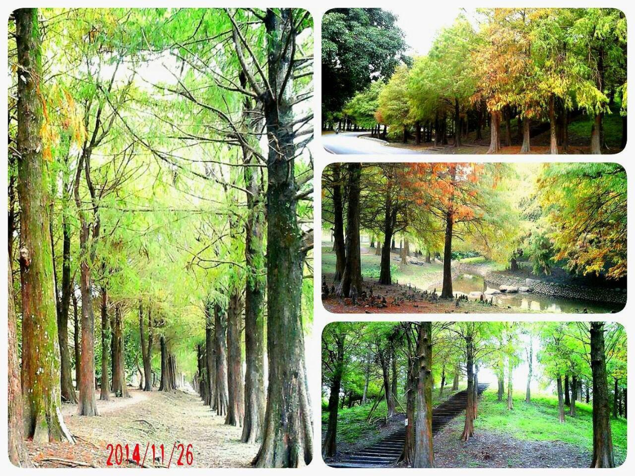公園 B&B Luodong Eksteriør billede